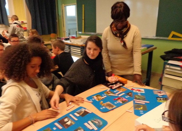 Contributions humaines